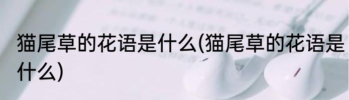 猫尾草的花语是什么(猫尾草的花语是什么)