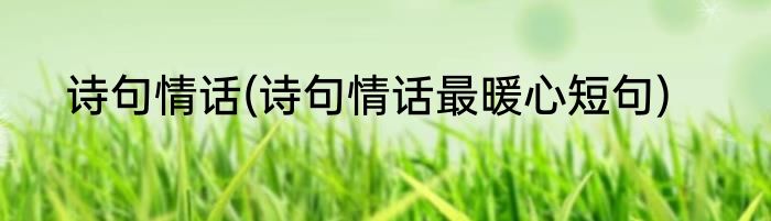 诗句情话(诗句情话最暖心短句)