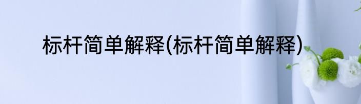 标杆简单解释(标杆简单解释)