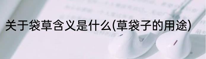 关于袋草含义是什么(草袋子的用途)