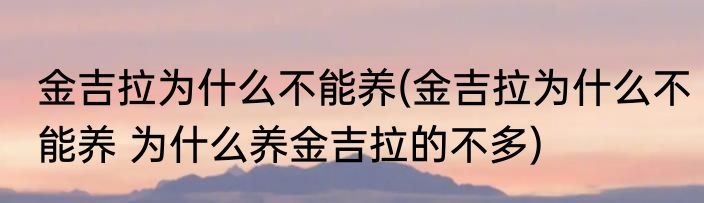 金吉拉为什么不能养(金吉拉为什么不能养 为什么养金吉拉的不多)