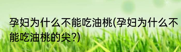 孕妇为什么不能吃油桃(孕妇为什么不能吃油桃的尖?)