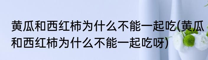 黄瓜和西红柿为什么不能一起吃(黄瓜和西红柿为什么不能一起吃呀)