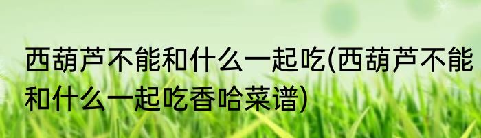 西葫芦不能和什么一起吃(西葫芦不能和什么一起吃香哈菜谱)