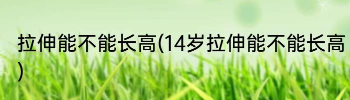 拉伸能不能长高(14岁拉伸能不能长高)