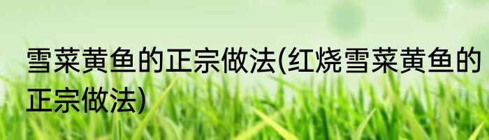 雪菜黄鱼的正宗做法(红烧雪菜黄鱼的正宗做法)