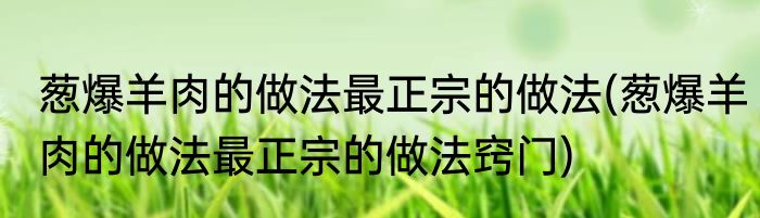 葱爆羊肉的做法最正宗的做法(葱爆羊肉的做法最正宗的做法窍门)