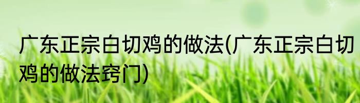 广东正宗白切鸡的做法(广东正宗白切鸡的做法窍门)