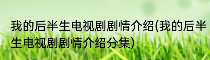 我的后半生电视剧剧情介绍(我的后半生电视剧剧情介绍分集)