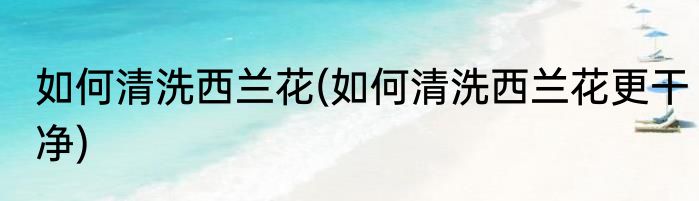如何清洗西兰花(如何清洗西兰花更干净)