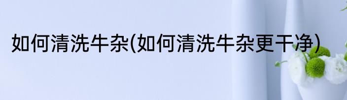 如何清洗牛杂(如何清洗牛杂更干净)