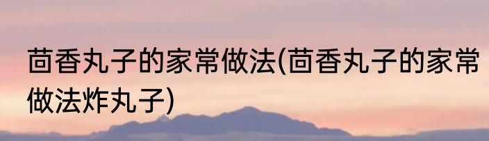 茴香丸子的家常做法(茴香丸子的家常做法炸丸子)