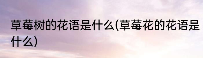 草莓树的花语是什么(草莓花的花语是什么)