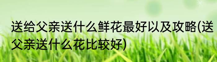 送给父亲送什么鲜花最好以及攻略(送父亲送什么花比较好)