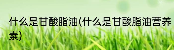 什么是甘酸脂油(什么是甘酸脂油营养素)