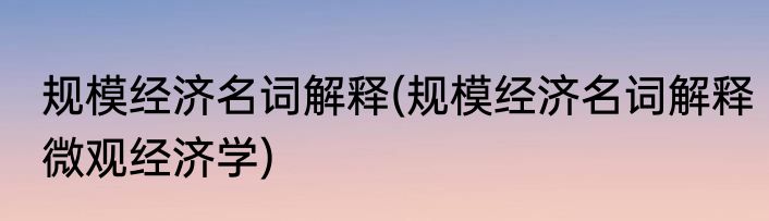 规模经济名词解释(规模经济名词解释微观经济学)