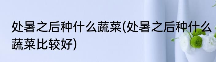 处暑之后种什么蔬菜(处暑之后种什么蔬菜比较好)