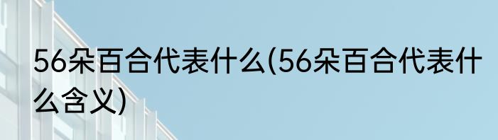 56朵百合代表什么(56朵百合代表什么含义)