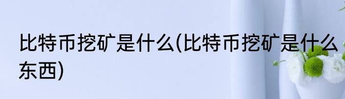 比特币挖矿是什么(比特币挖矿是什么东西)