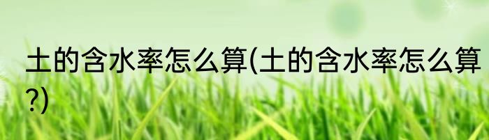 土的含水率怎么算(土的含水率怎么算?)