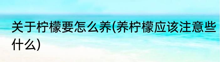 关于柠檬要怎么养(养柠檬应该注意些什么)