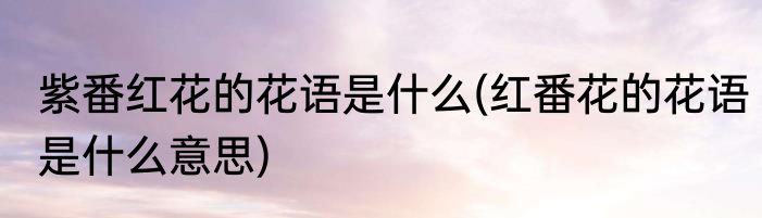 紫番红花的花语是什么(红番花的花语是什么意思)