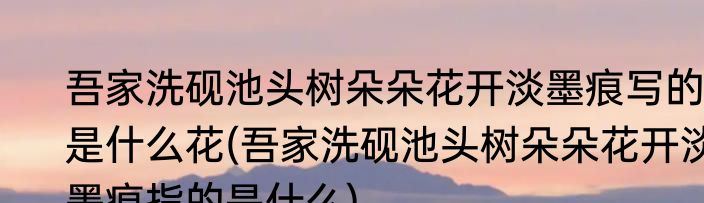 吾家洗砚池头树朵朵花开淡墨痕写的是什么花(吾家洗砚池头树朵朵花开淡墨痕指的是什么)