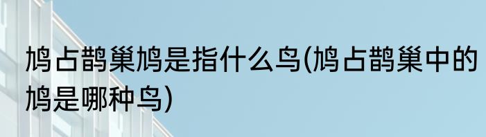 鸠占鹊巢鸠是指什么鸟(鸠占鹊巢中的鸠是哪种鸟)