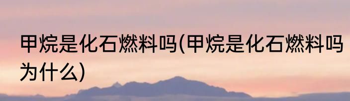 甲烷是化石燃料吗(甲烷是化石燃料吗为什么)