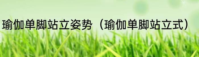 瑜伽单脚站立姿势（瑜伽单脚站立式）