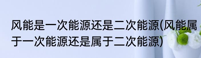 风能是一次能源还是二次能源(风能属于一次能源还是属于二次能源)