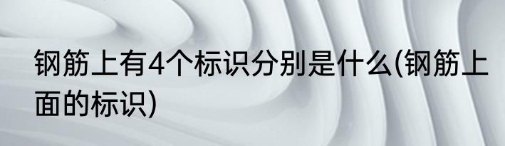 钢筋上有4个标识分别是什么(钢筋上面的标识)