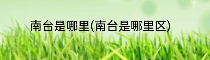 南台是哪里(南台是哪里区)