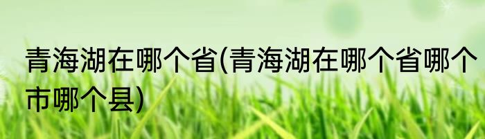 青海湖在哪个省(青海湖在哪个省哪个市哪个县)