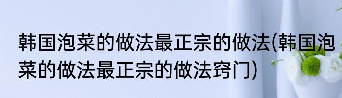 韩国泡菜的做法最正宗的做法(韩国泡菜的做法最正宗的做法窍门)