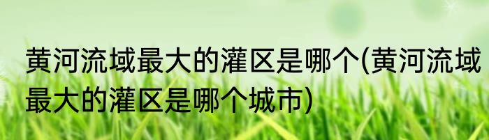 黄河流域最大的灌区是哪个(黄河流域最大的灌区是哪个城市)