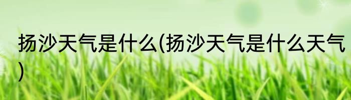 扬沙天气是什么(扬沙天气是什么天气)