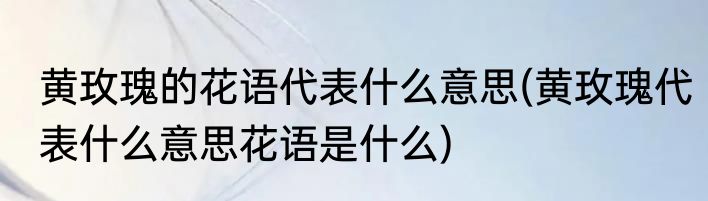 黄玫瑰的花语代表什么意思(黄玫瑰代表什么意思花语是什么)