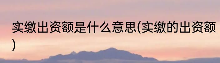 实缴出资额是什么意思(实缴的出资额)