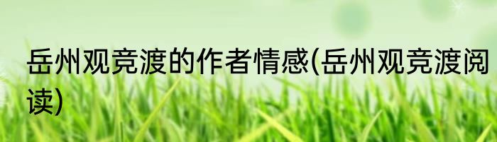 猫头鹰的美称(猫头鹰的美称四个字)