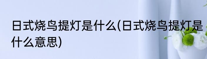 日式烧鸟提灯是什么(日式烧鸟提灯是什么意思)
