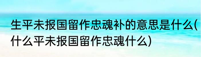 生平未报国留作忠魂补的意思是什么(什么平未报国留作忠魂什么)