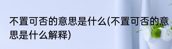 不置可否的意思是什么(不置可否的意思是什么解释)