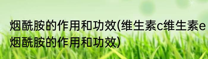 烟酰胺的作用和功效(维生素c维生素e烟酰胺的作用和功效)