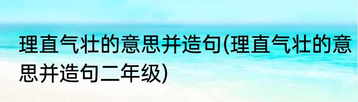 理直气壮的意思并造句(理直气壮的意思并造句二年级)