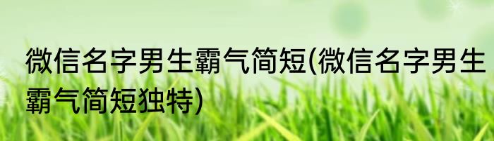 微信名字男生霸气简短(微信名字男生霸气简短独特)