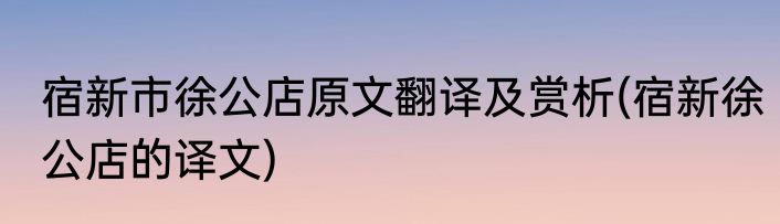 宿新市徐公店原文翻译及赏析(宿新徐公店的译文)