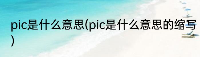 pic是什么意思(pic是什么意思的缩写)