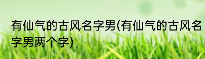 有仙气的古风名字男(有仙气的古风名字男两个字)