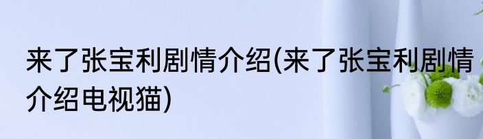 来了张宝利剧情介绍(来了张宝利剧情介绍电视猫)